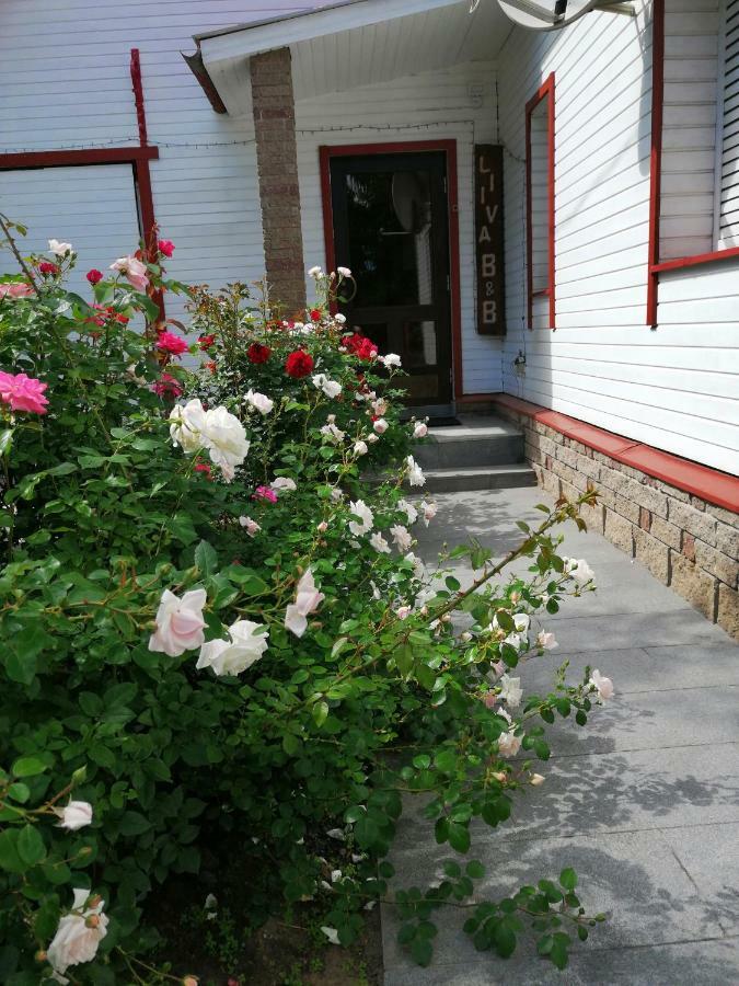 Liiva Guest Accommodation,Free Parking タルトゥ エクステリア 写真